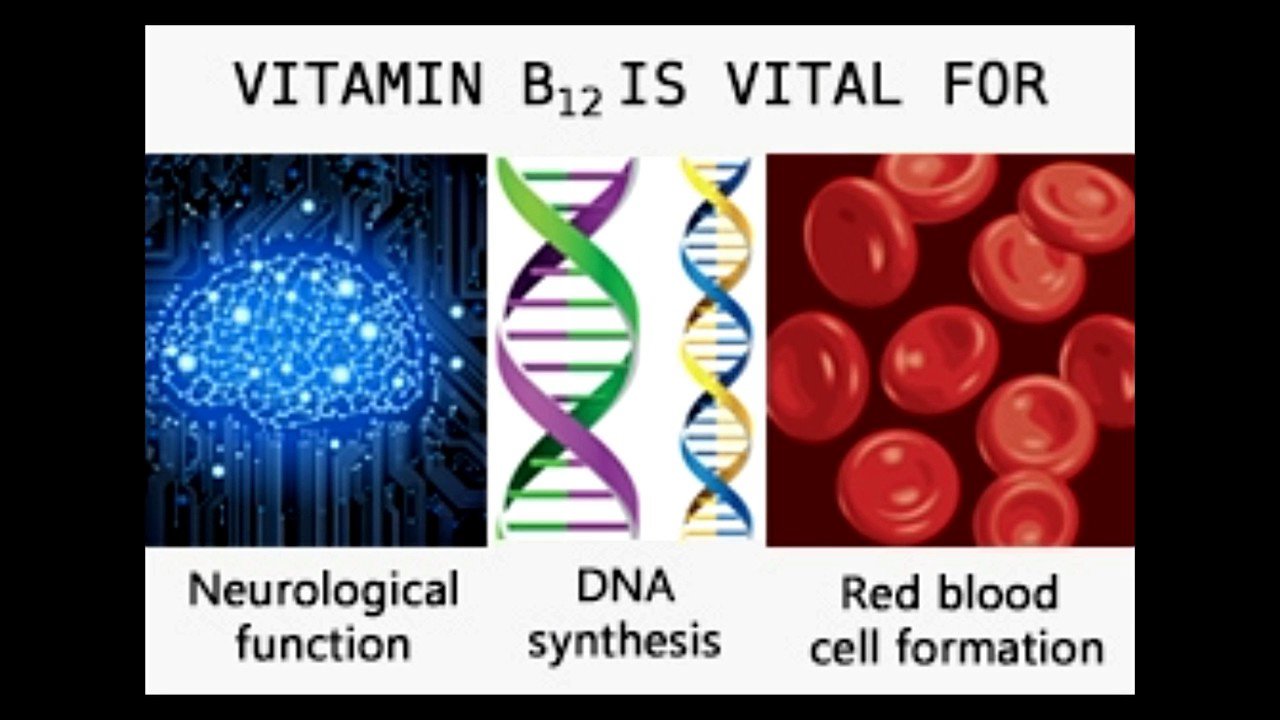 Wie, wat, hoe en waar over B12-tekort / B12-deficiëntie