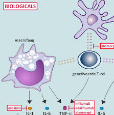 Biologicals kunnen vermoeidheid veroorzaken