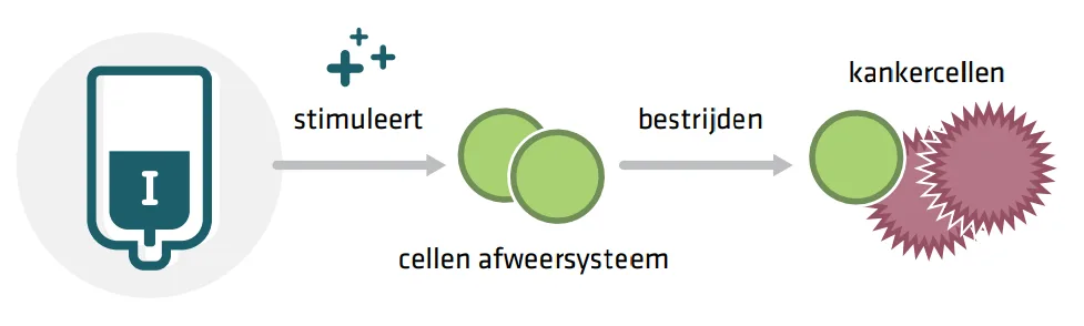 Nieuwe kankertherapie zet voorspelbaarheid prognoses op z’n kop