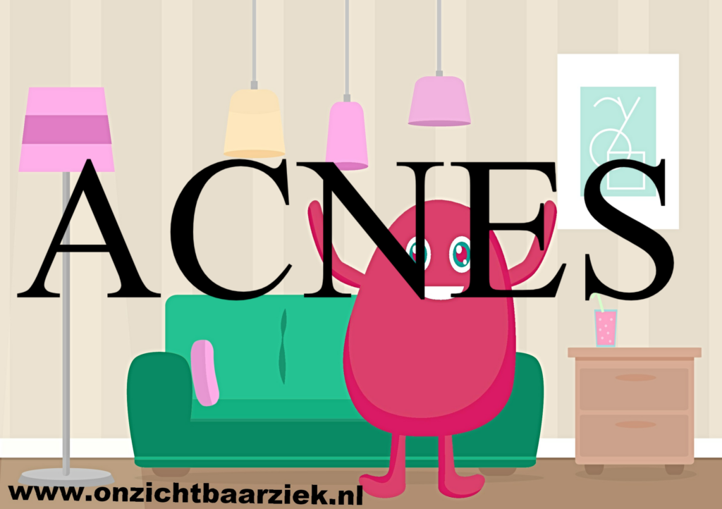 Acnes Stichting Onzichtbaar Ziek